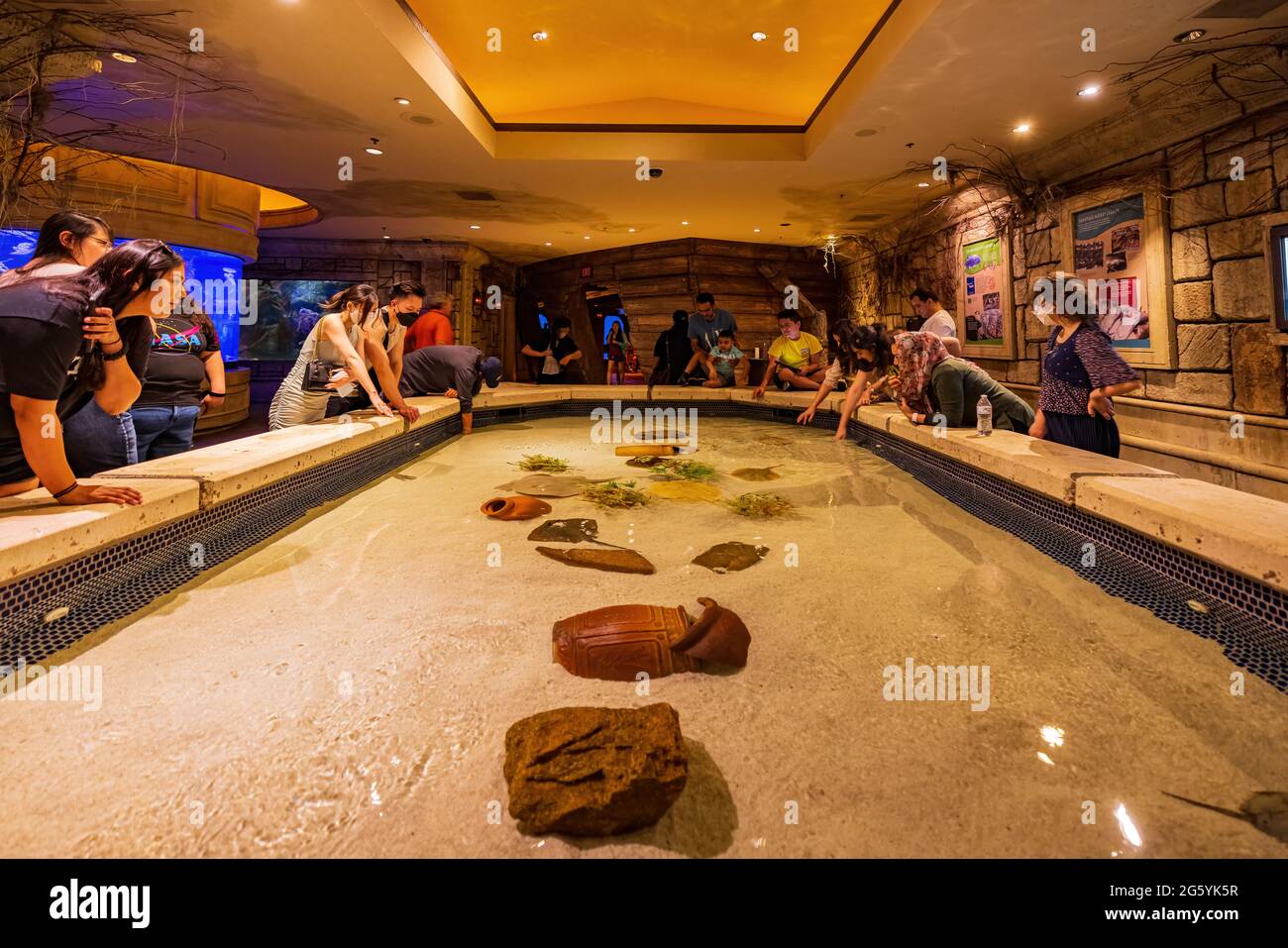 Las Vegas, 29. JUN 2021 - Innenansicht des Shark Reef Aquariums Stockfoto