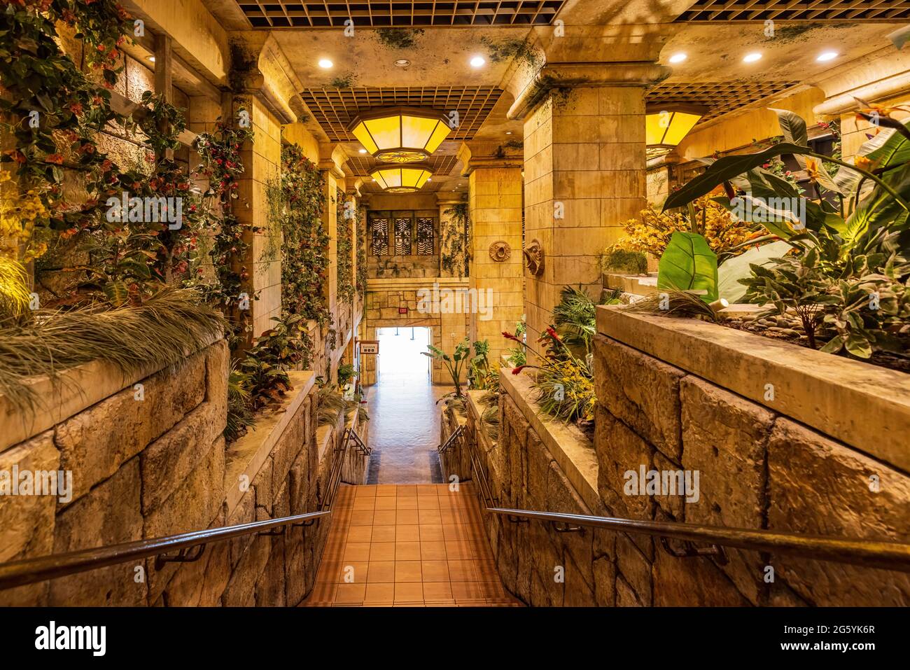 Las Vegas, 29. JUN 2021 - Innenansicht des Shark Reef Aquariums Stockfoto