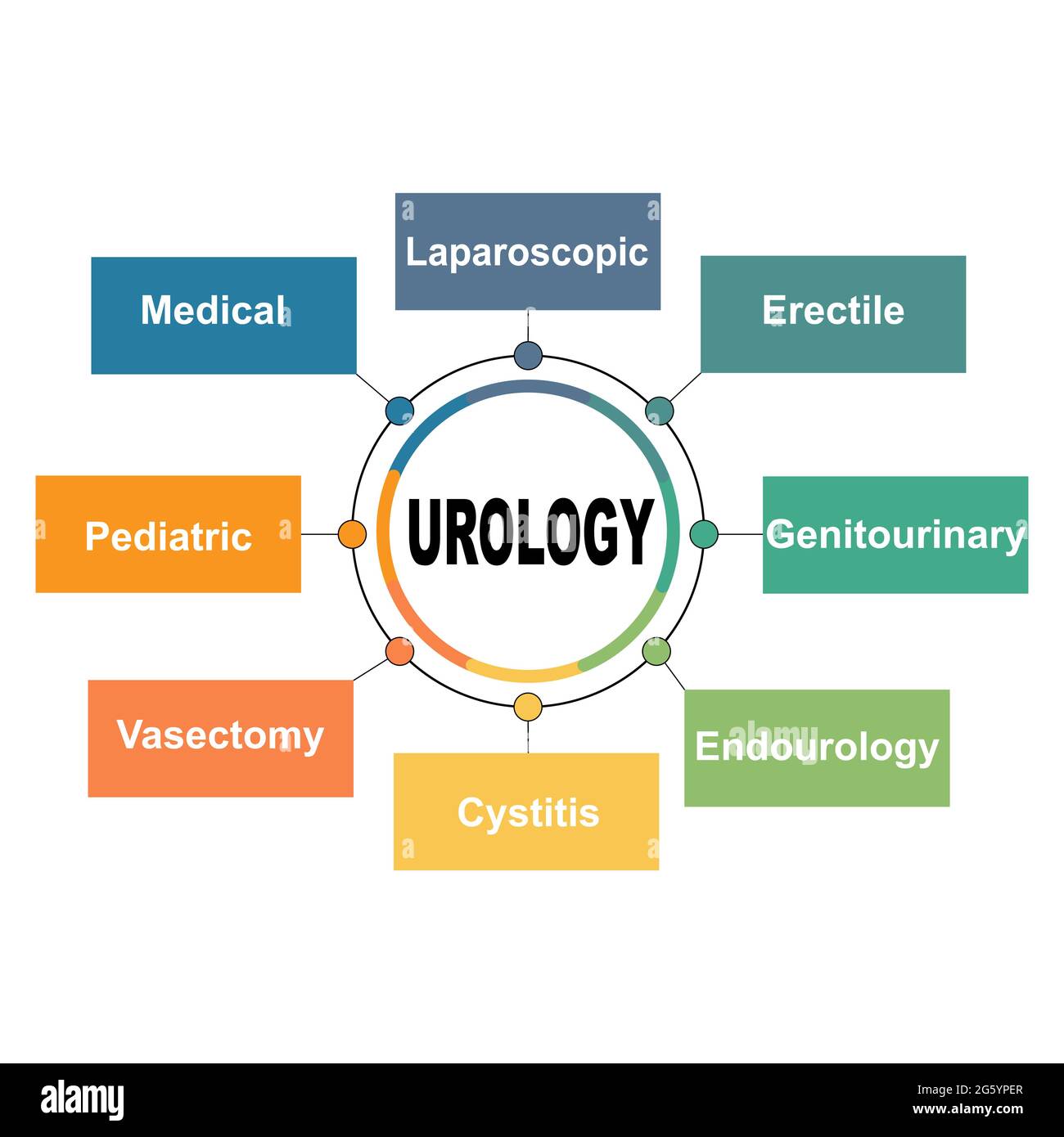 Diagrammkonzept mit Urologie-Text und Schlüsselwörtern. EPS 10 isoliert auf weißem Hintergrund Stock Vektor