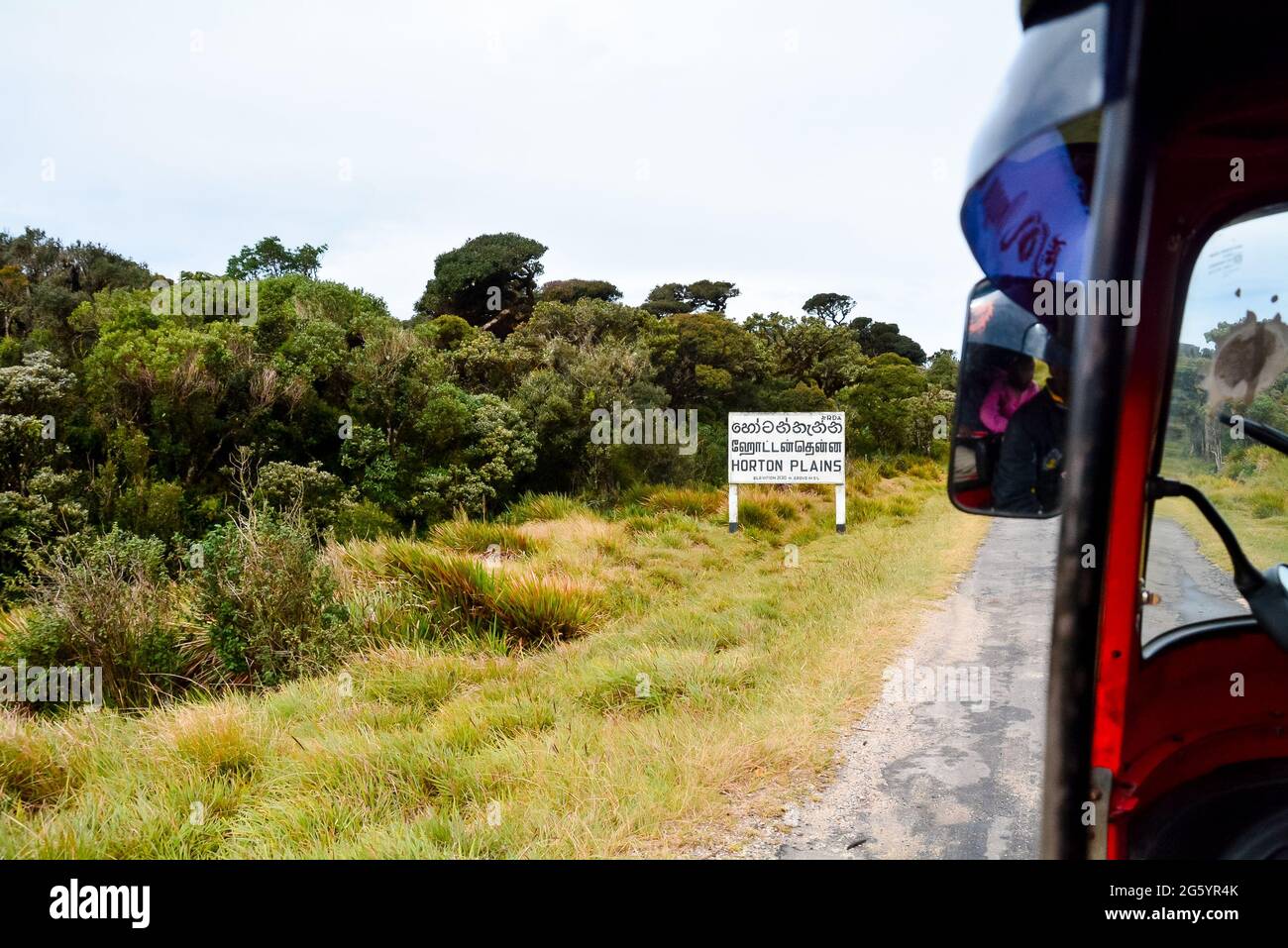 Hortan plant Eingang Ohiya, sri lanka Stockfoto