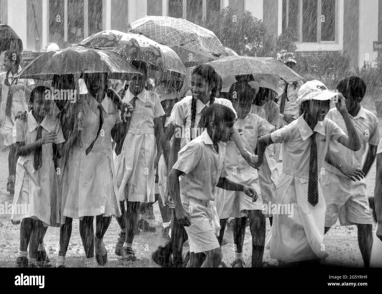 Padukka,srilanka- 30. september 2016:Studenten mit Regenschirmen auf dem verregneten Gelände der siripiyarathana Hochschule in Padukka,colombo Stockfoto