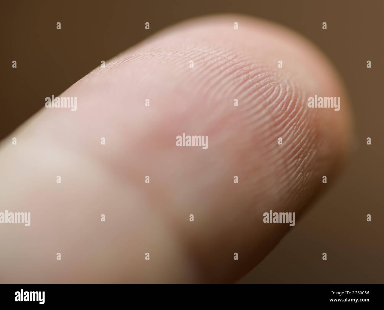 Makro des menschlichen Fingers. Selektiver Fokus. Stockfoto