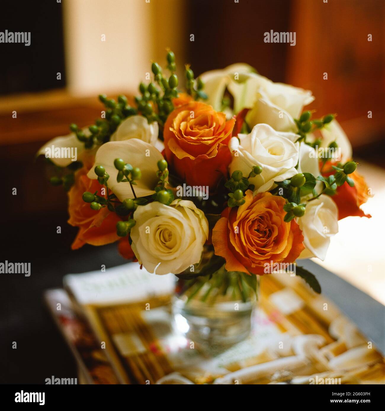 Weiße und orangefarbene Rosen Stockfoto