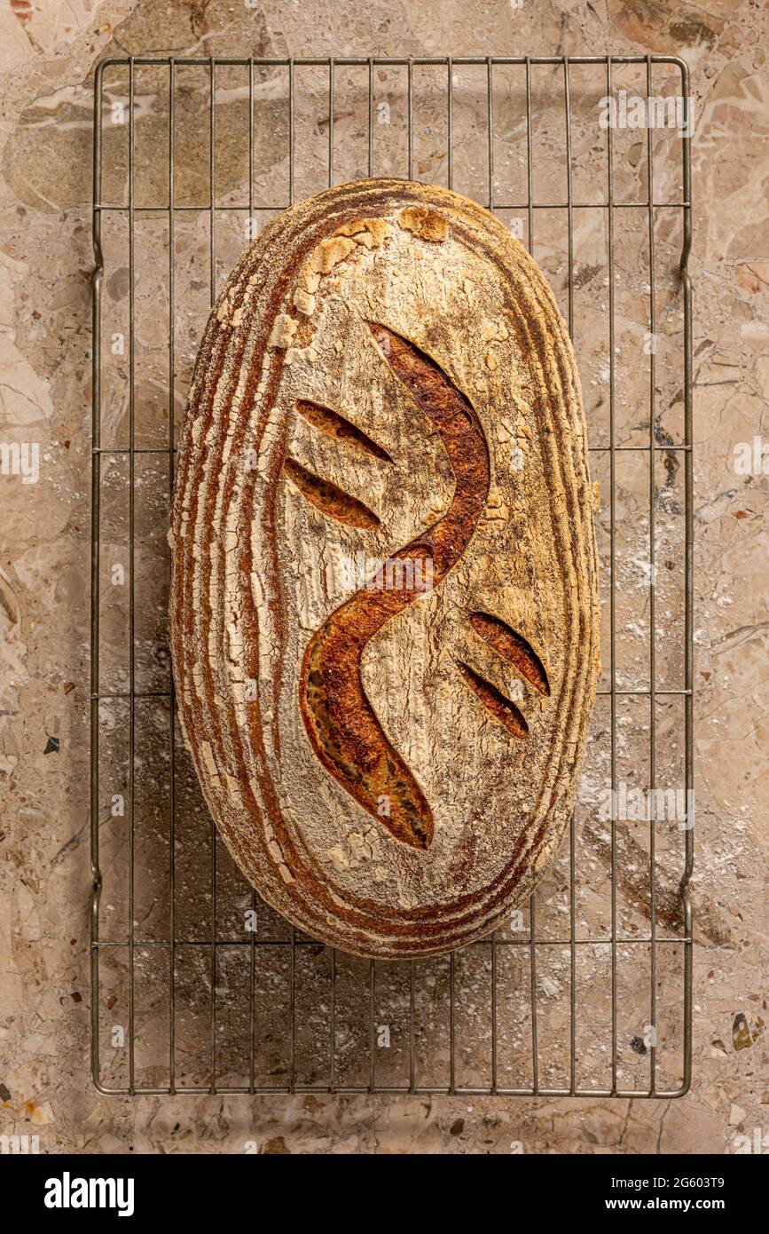 Flache Ansicht von handgefertigtem Sauerteig-Brot auf einer Arbeitsfläche aus hellbraunem Marmor. Frisch auf Kühlregal gebacken. Stockfoto