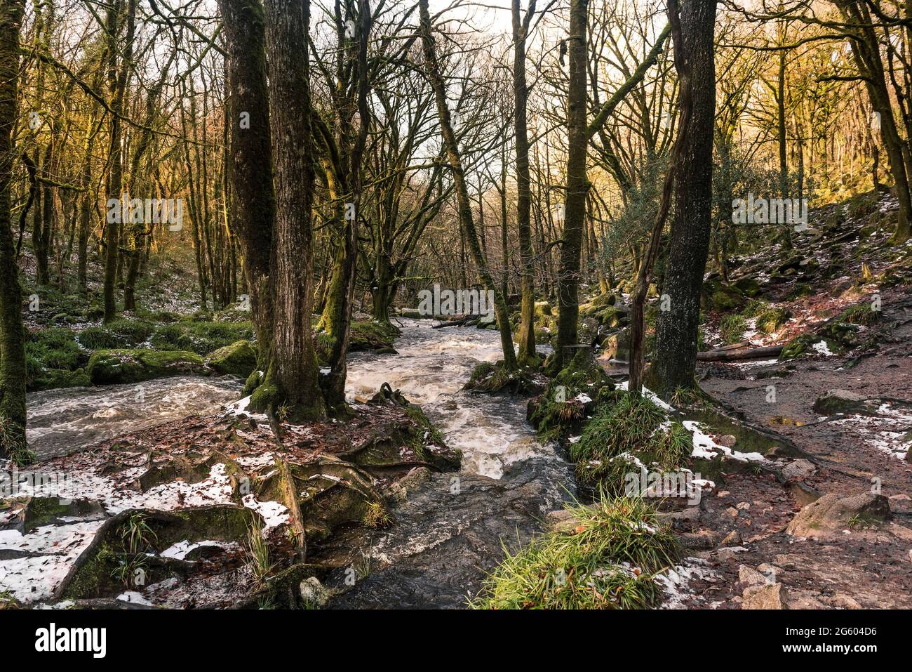 Am späten Nachmittag Sonnenlicht während der Fluss Fowey fließt entlang Golitha Falls in der historischen und alten Wald Draynes Wood in Cornwall. Stockfoto