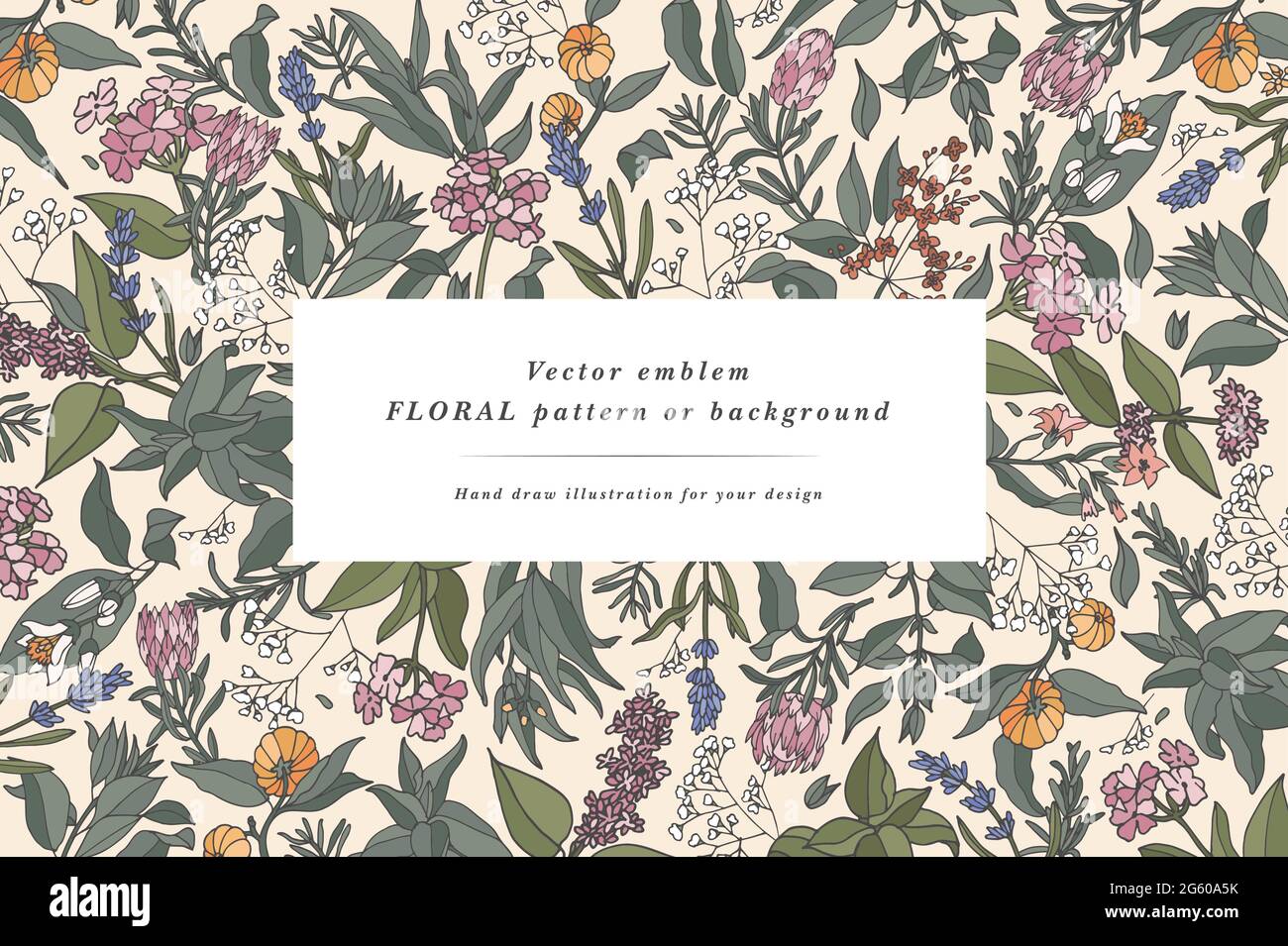 Vintage-Karte mit Pflanzen, Kräutern und Blumen. Blumenkranz. Blumenrahmen für Flowershop mit Label-Designs. Blumen Hintergrund für Kosmetik-Verpackung Stock Vektor