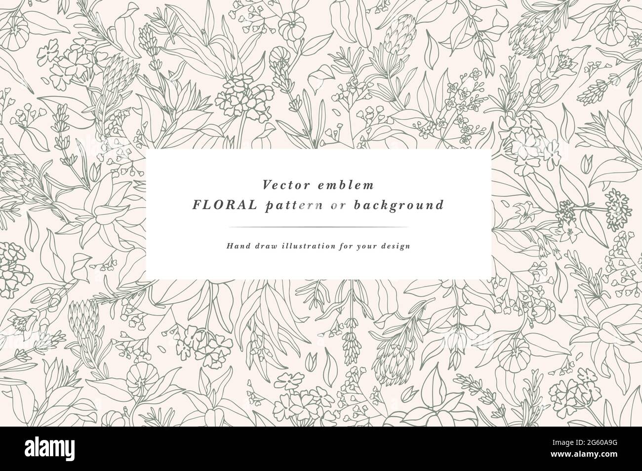 Vintage-Karte mit Pflanzen, Kräutern und Blumen. Blumenkranz. Blumenrahmen für Flowershop mit Label-Designs. Blumen Hintergrund für Kosmetik-Verpackung Stock Vektor