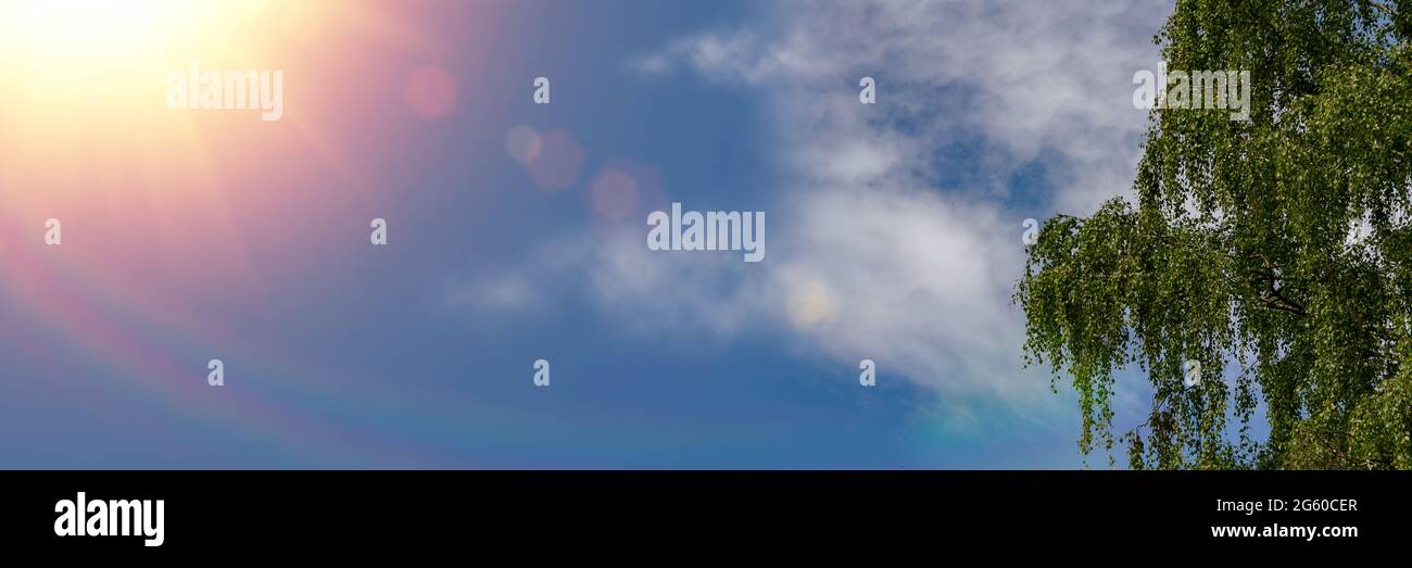 Blauer Himmel und grüne Zweige mit Highlights. Birke verzweigt sich gegen die blaue Sommerluft Stockfoto