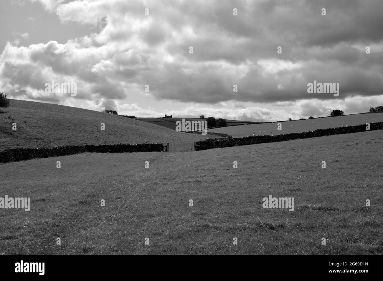 Walking Hall Dale, Peak District National Park, England, 2019 Stockfoto