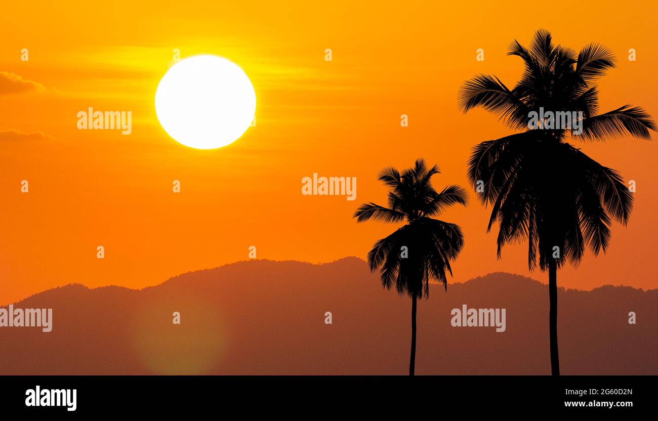 Sommer mit Kokospalmen in der Ecke gegen die große Sonne. Stockfoto