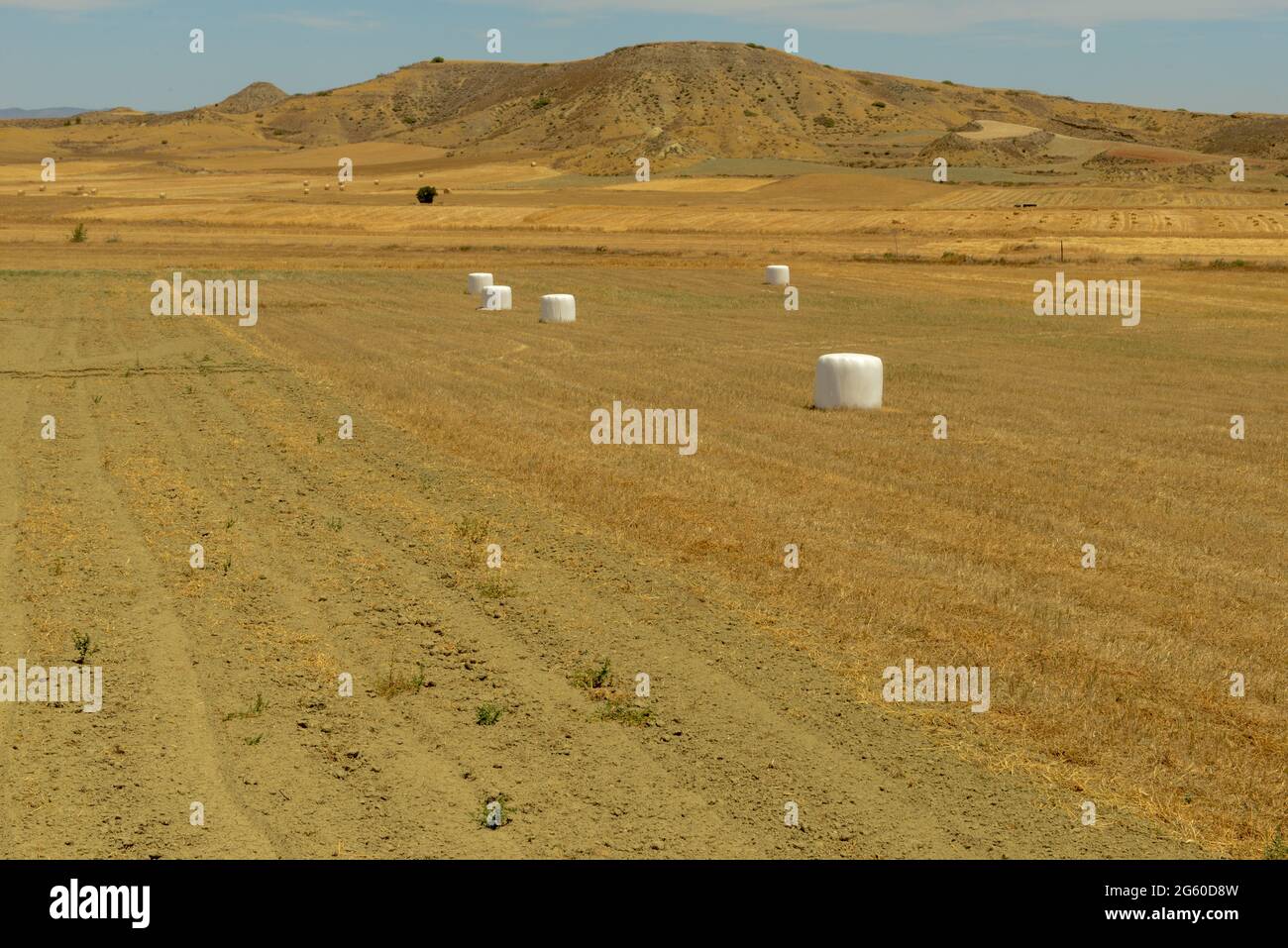 Landschaft eines Feldes mit Heuballen auf der Insel Zypern Stockfoto