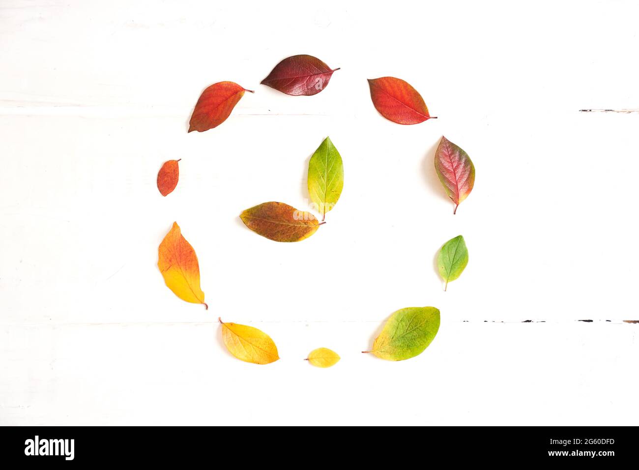 Kreis aus bunten Herbstblättern mit Zeigepunkten bis 9 Uhr in der Mitte, Layout für Gestaltung auf einem hölzernen weißen Hintergrund. Hochwertige Fotos Stockfoto
