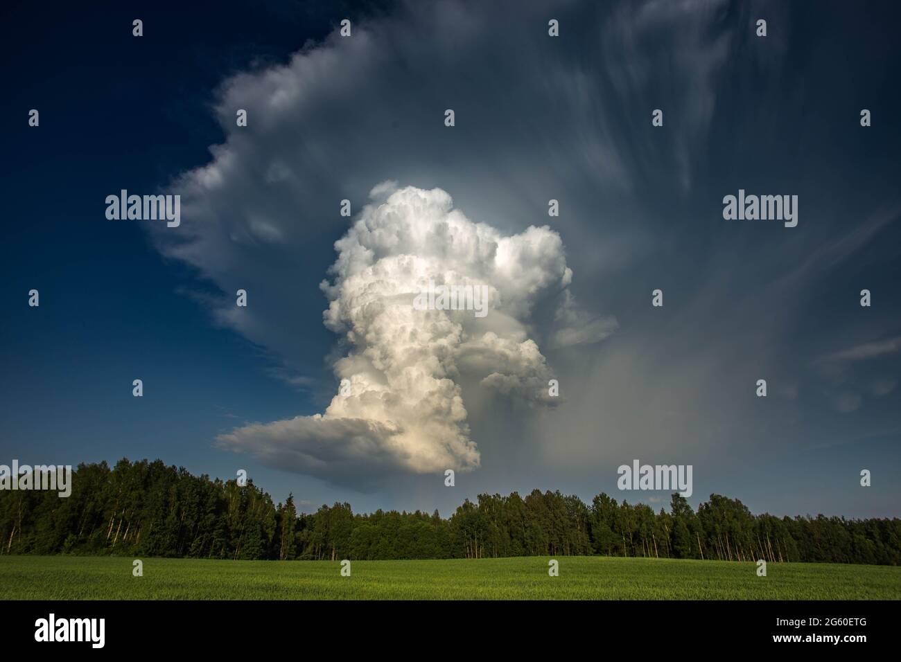 Cumulonimbus capillatus incus Wolke, isolierte Sturmwolke Stockfoto