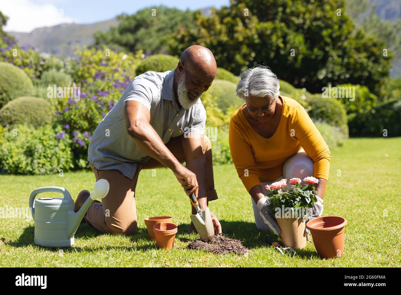 Ein älteres afroamerikanisches Paar verbringt Zeit im sonnigen Garten und pflanzt gemeinsam Blumen Stockfoto