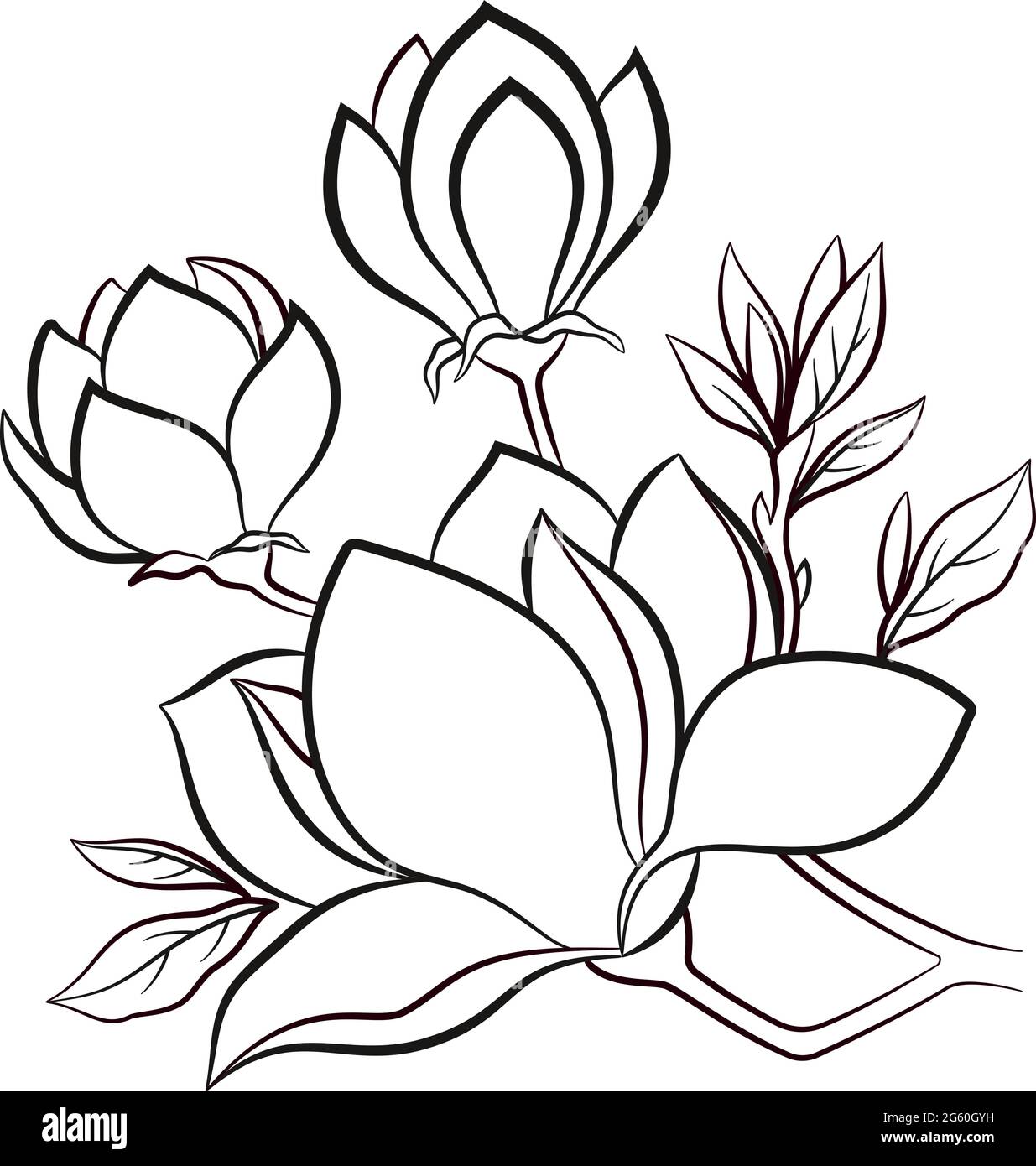 Zweig eines blühenden Magnolienbaums Blumen, schwarze Kontur isoliert auf weißem Hintergrund. Vektor Stock Vektor