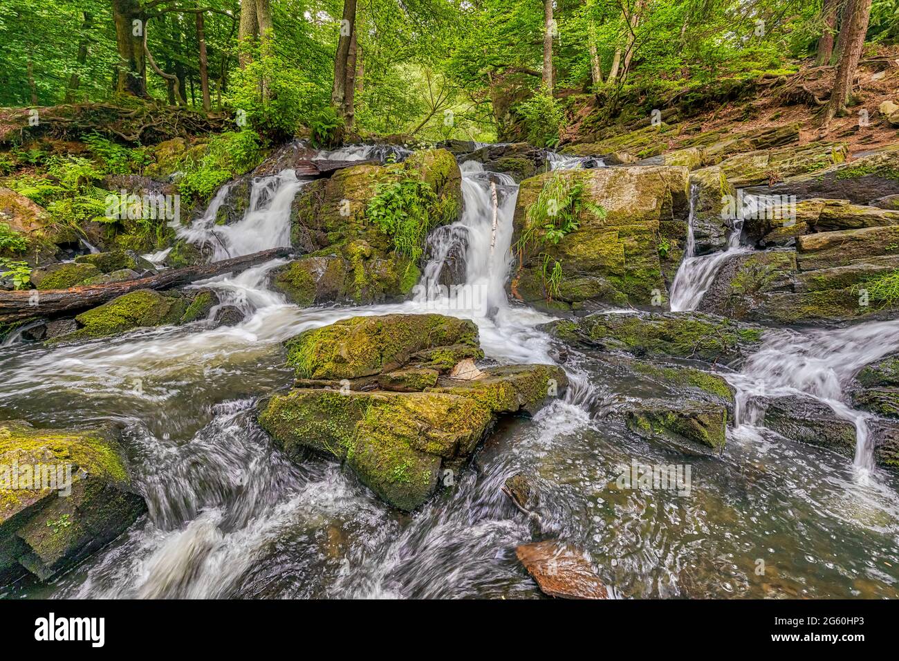 Selkewasserfall im Harz Harzgerode Selketal Stockfoto