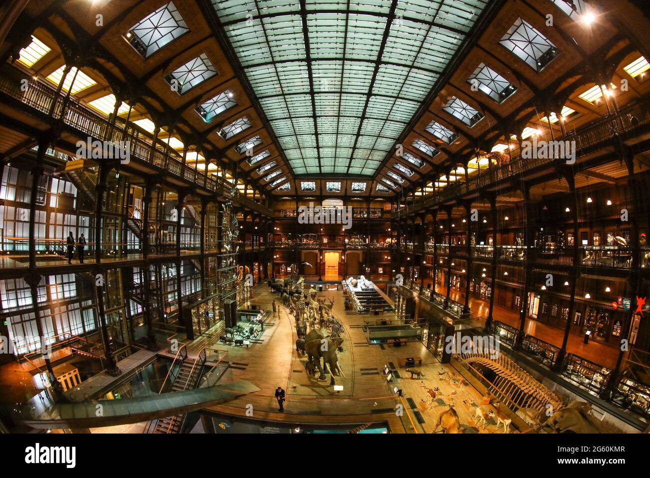 GALERIE DER EVOLUTION, PARIS Stockfoto