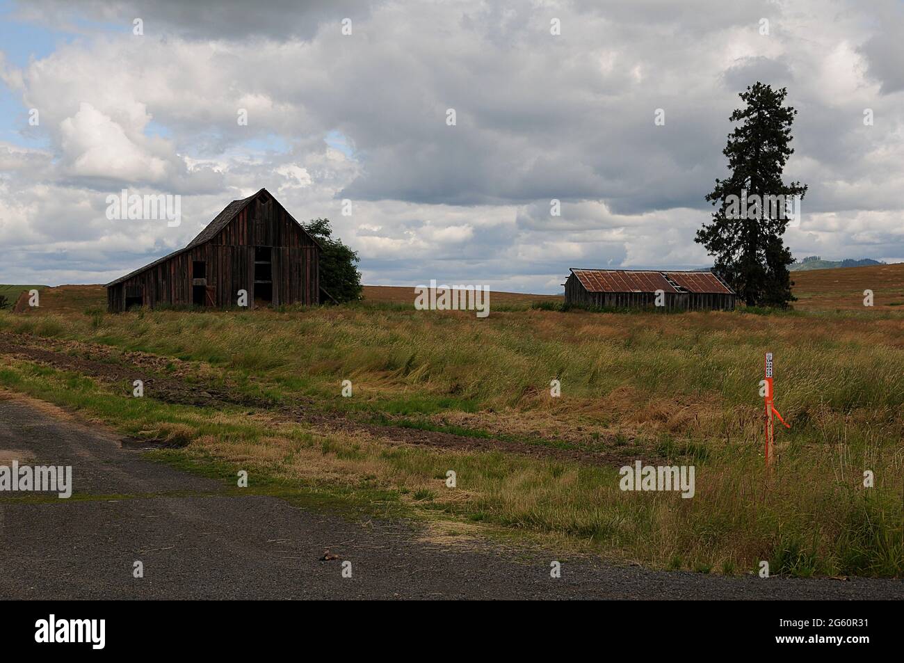 southwick/Nez Perce County/Idaho/USA. 23.Juni 2018.-Alte Scheunen und Autos und Picknicks als Müll oder Kunst oder alte Geschichte der Vereinigten Staaten von Amerika. Und o Stockfoto