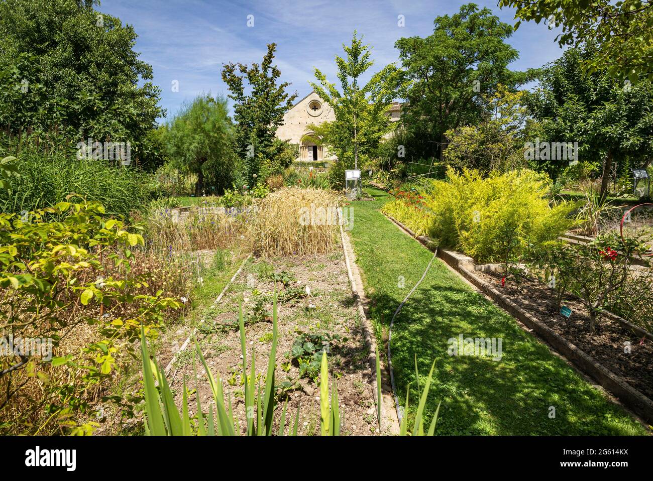 Frankreich, Alpes de Haute Provence, Mane, Museum und Garten von Salagon, moderner Garten Stockfoto