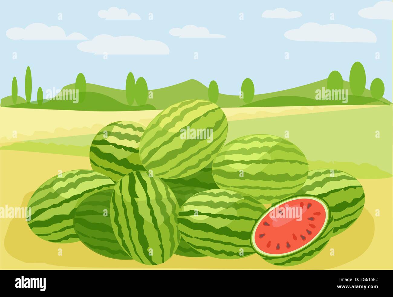 Die natürliche Landschaft des Feldes mit den reifen Wassermelonenbeeren. Vektorgrafik Stock Vektor