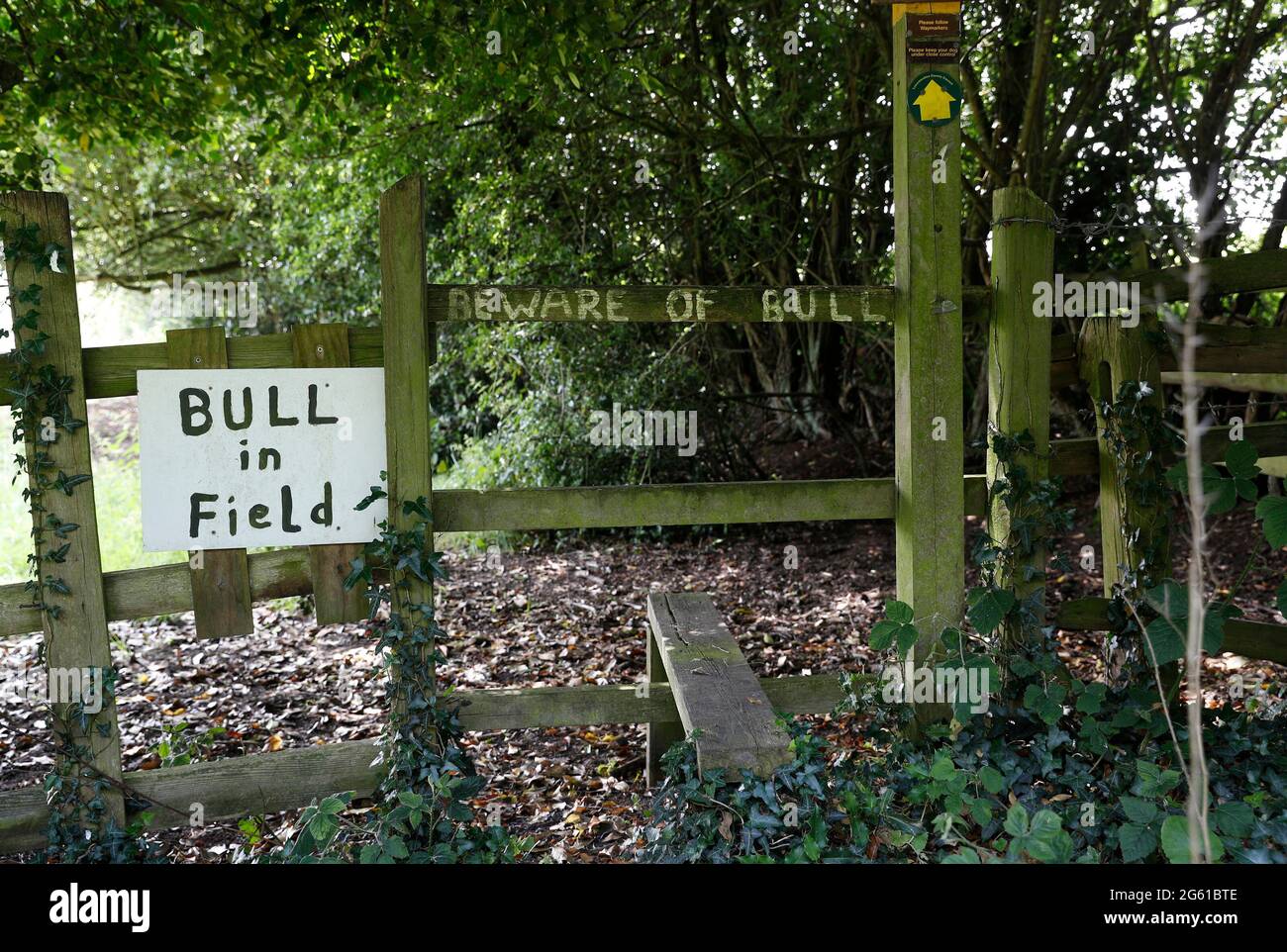 Swannington, Leicestershire, Großbritannien. Juli 2021. Ein Schild warnt vor einem Stier auf dem Feld auf einem öffentlichen Fußweg. Swannington ist ein ehemaliges Bergbaudorf situa Stockfoto