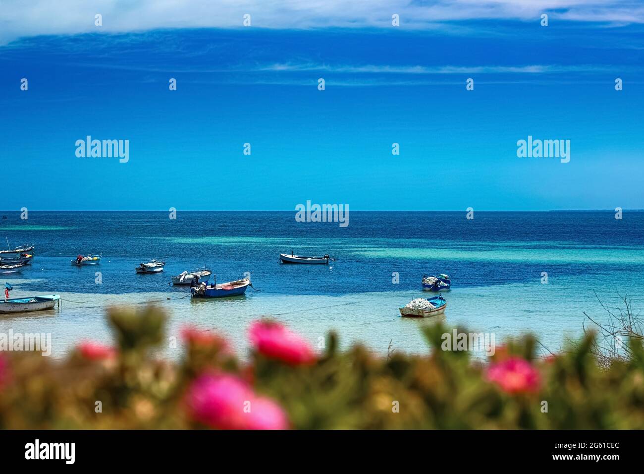 Ein schöner Blick auf die Mittelmeerküste mit Birkenwasser, einem Strand mit weißem Sand und einer grünen Palme. Stockfoto