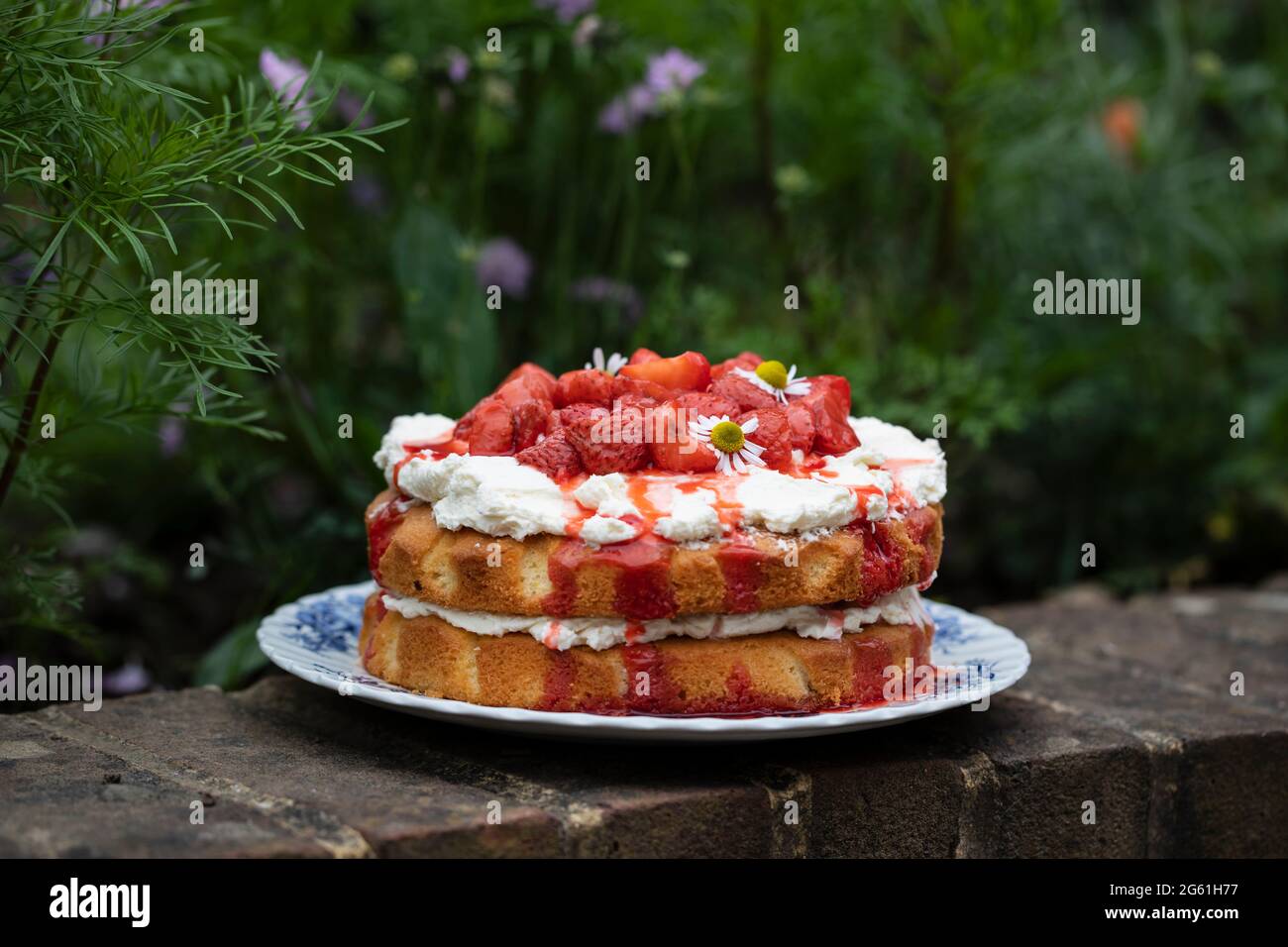 Erdbeer-Mittsommerkuchen mit Rahm Stockfoto