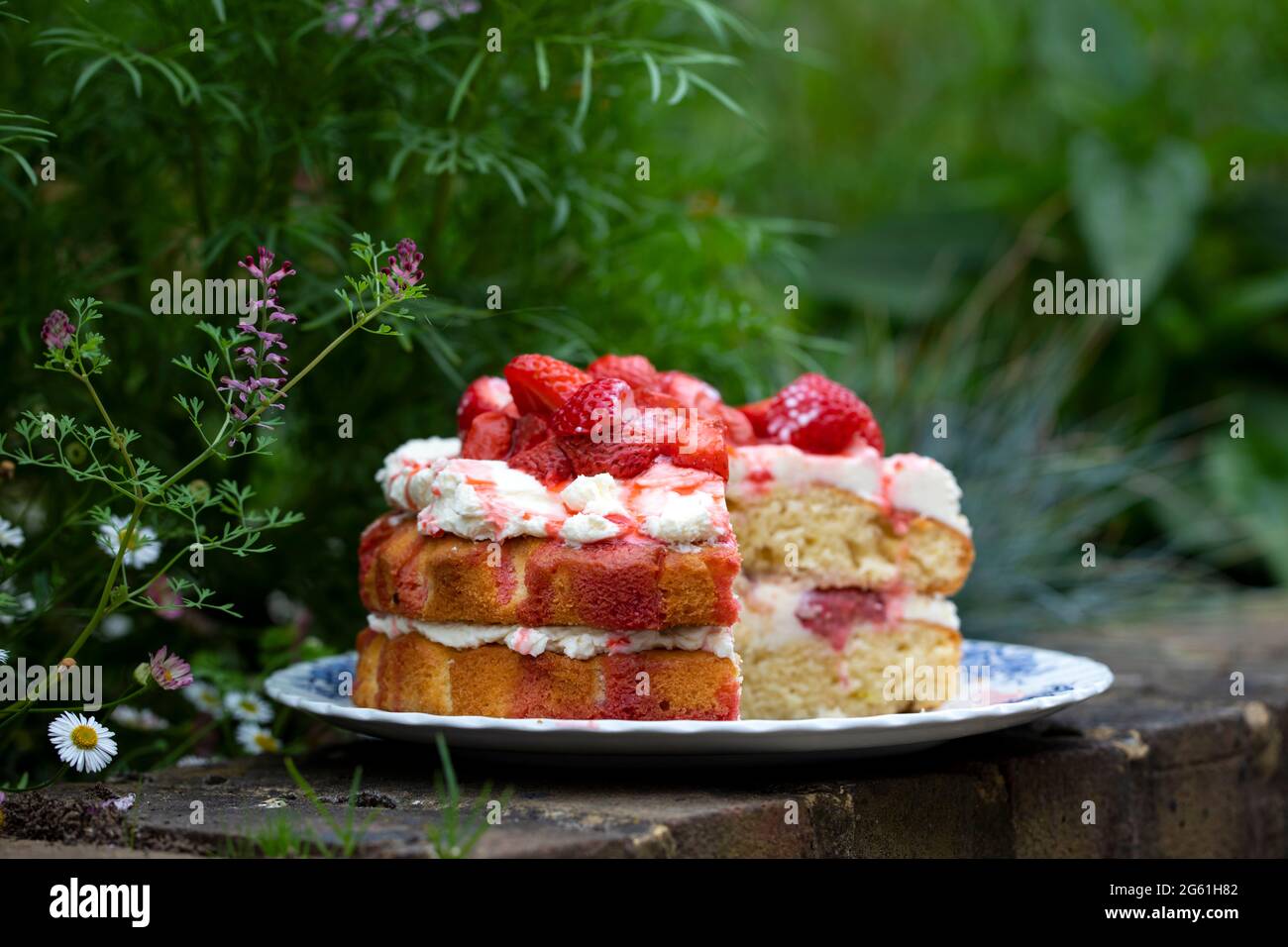 Erdbeer-Mittsommerkuchen mit Rahm Stockfoto