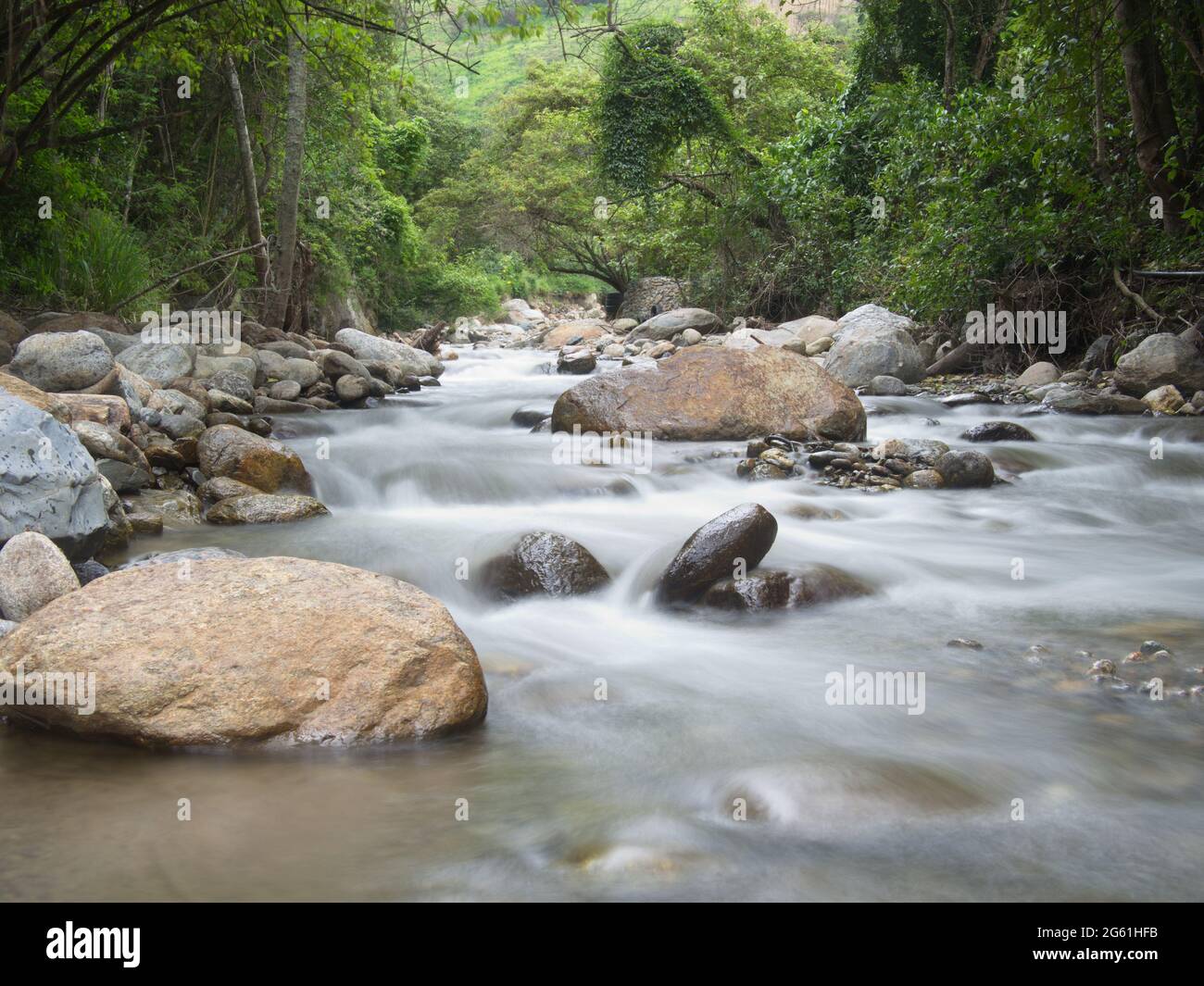 Zeitlupe von Fluss und Wald im Podocarpus Nationalpark, Ecuador. Stockfoto