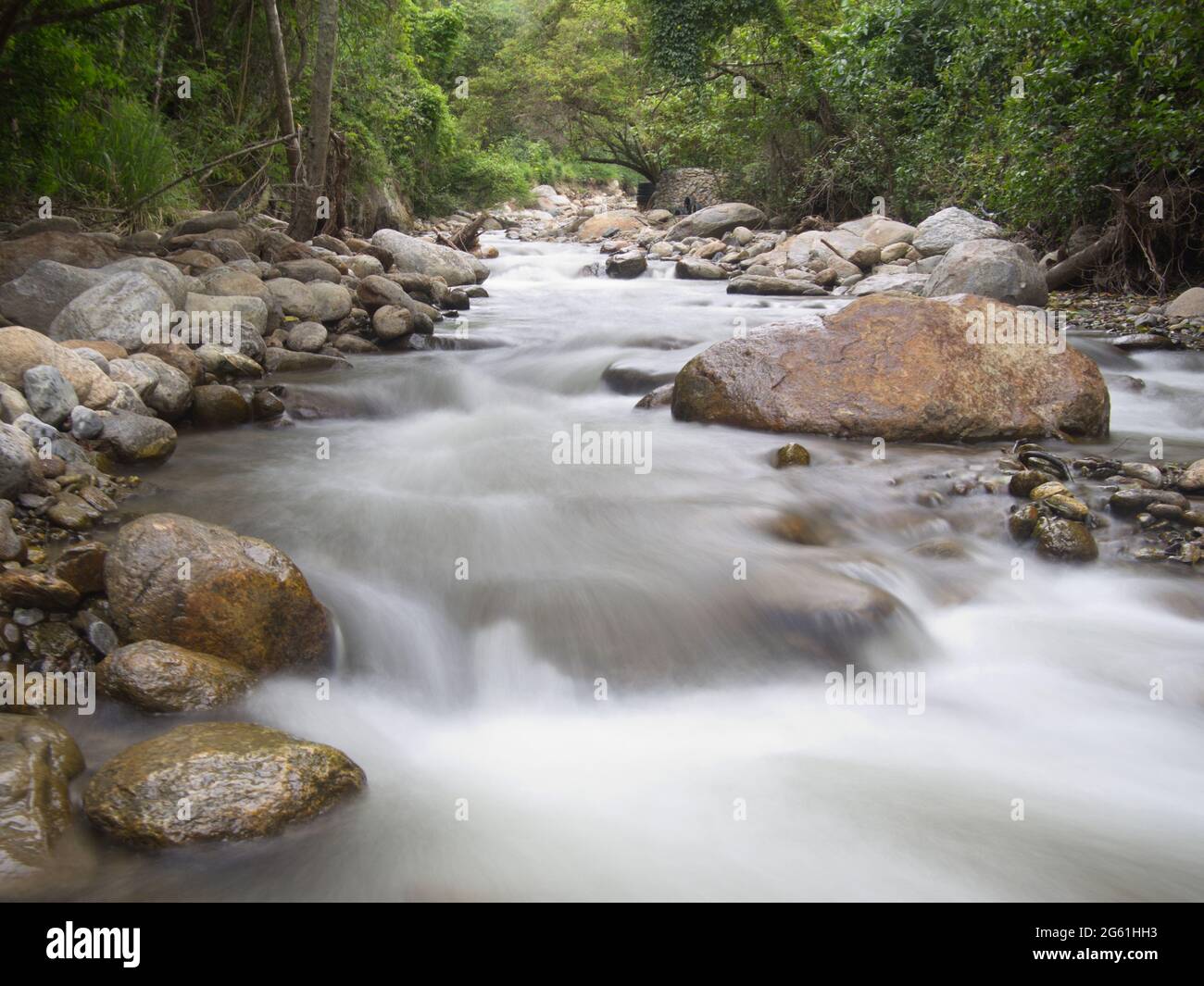 Zeitraffer von Fluss und Wald im Podocarpus Nationalpark, Ecuador. Stockfoto