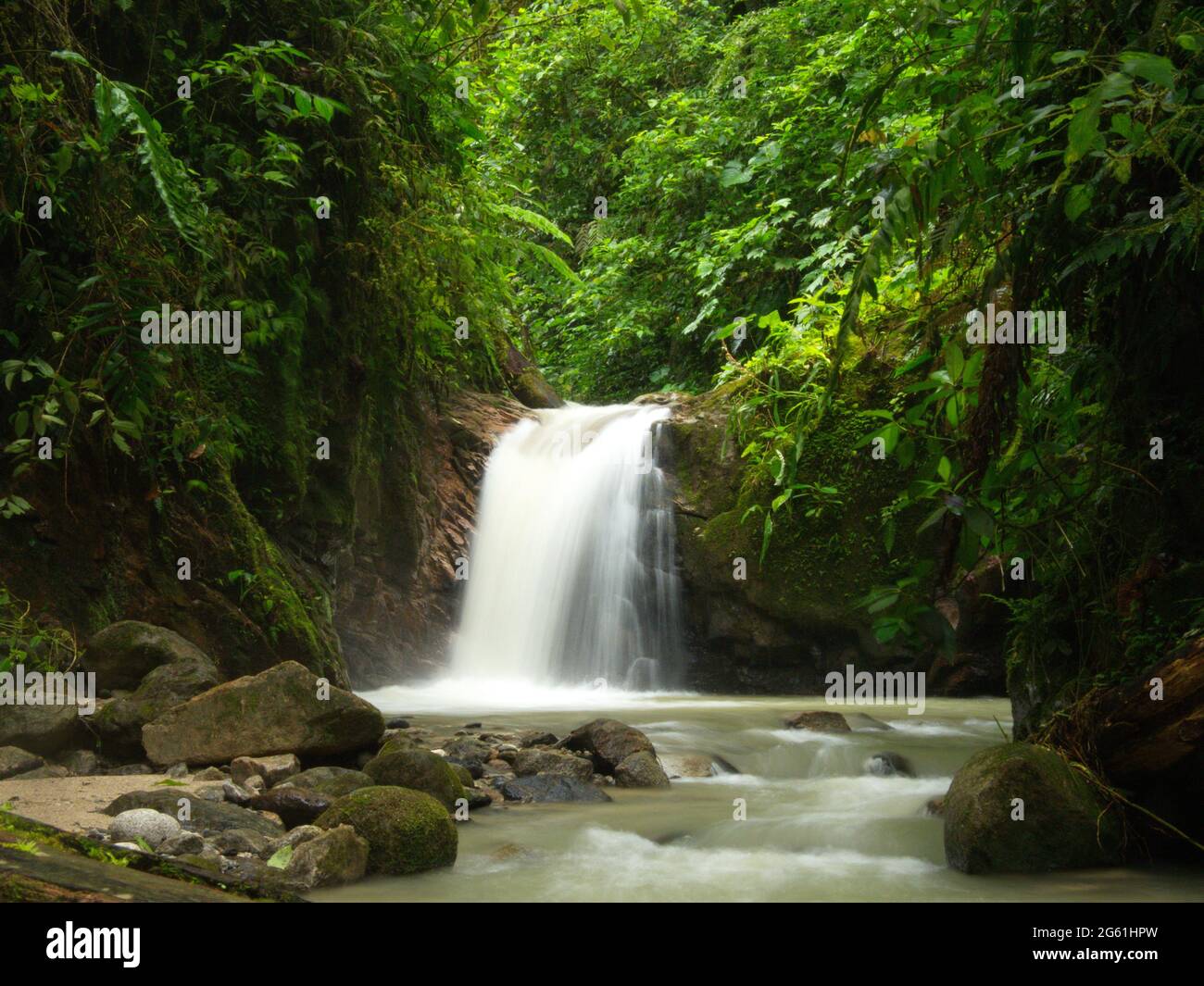 Zeitlupe von Wasserfall und Fluss im Wald Podocarpus Nationalpark, Ecuador. Stockfoto