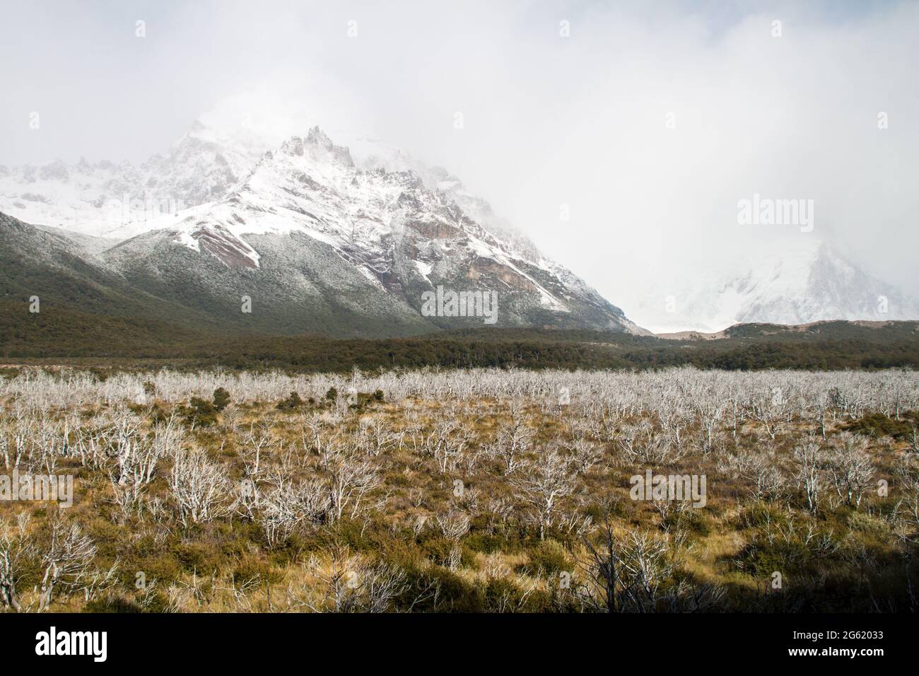 Tal des Rio Fitz Roy Flusses im Nationalpark Los Glaciares, Patagonien, Argentinien Stockfoto