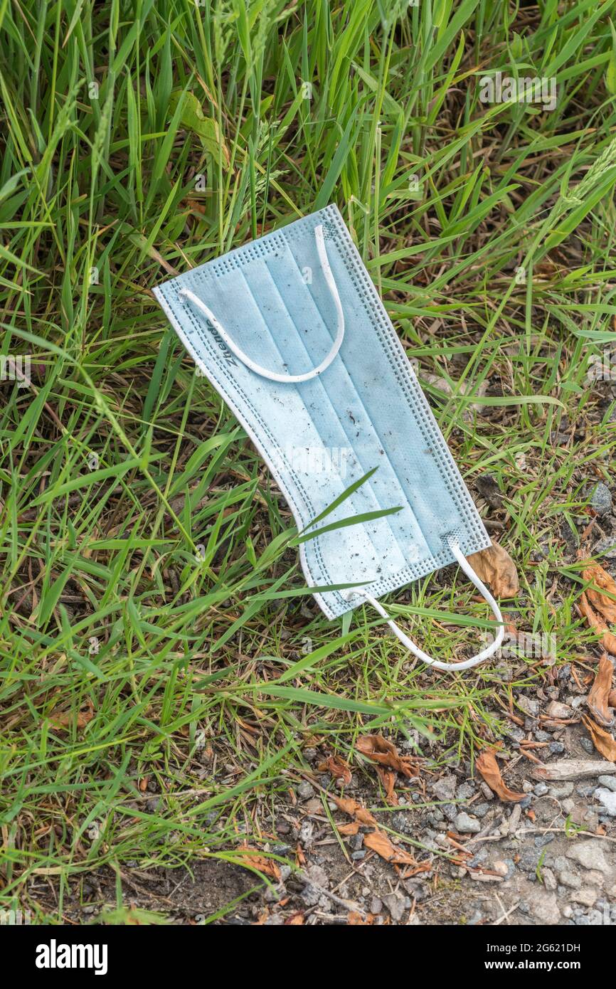 Einweg-Gesichtsmaske weggeworfen in Gras Rand des Landes Lane. Für Covid UK: Keine Gesichtsmasken tragen, Reaktion auf US-amerikanisches Maskenmandat von Biden. Stockfoto