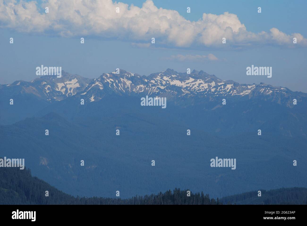 Goat Rocks Wilderness im Bundesstaat Washington Stockfoto