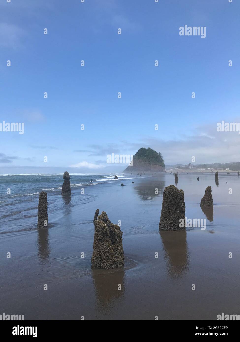 Entlang der Küste von Oregon: Neskowi Ghost Forest - Überreste alter sitka-Fichten, die nach einem Erdbeben vor 2000 Jahren unter Wasser gesunken sind. Stockfoto