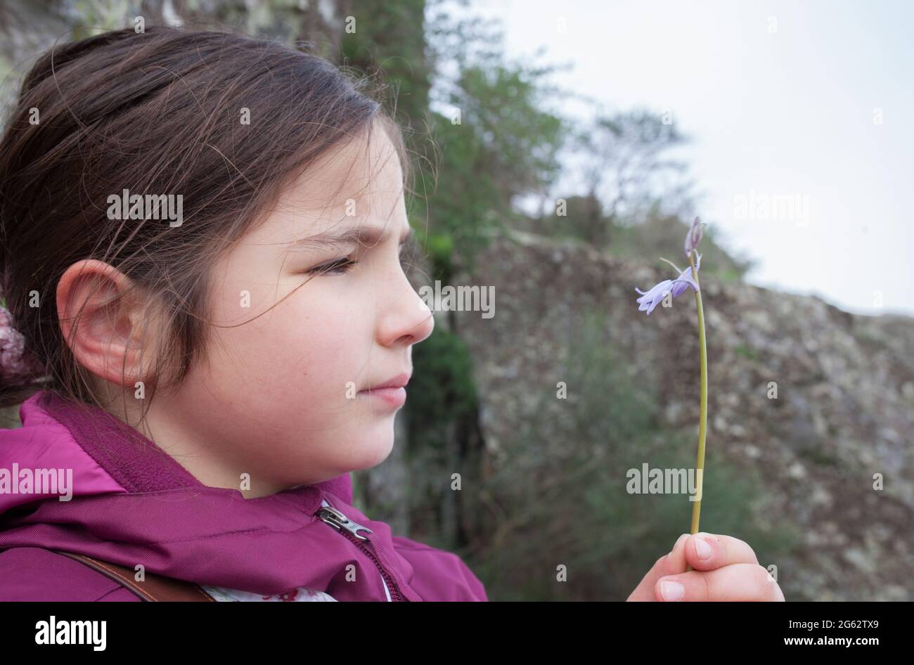 Kind Mädchen beobachten kleine wilde Blume. Botanik für neugierige Kinder Konzept Stockfoto