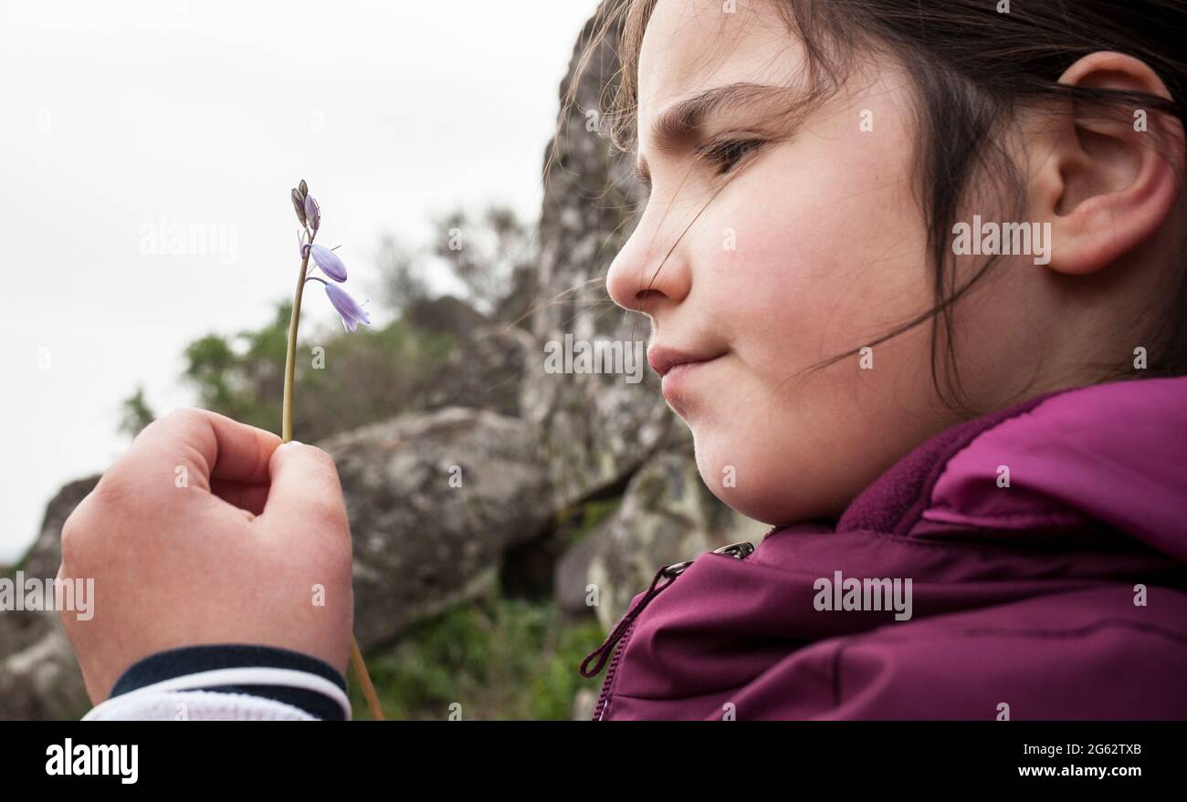 Kind Mädchen beobachten kleine wilde Blume. Botanik für neugierige Kinder Konzept Stockfoto