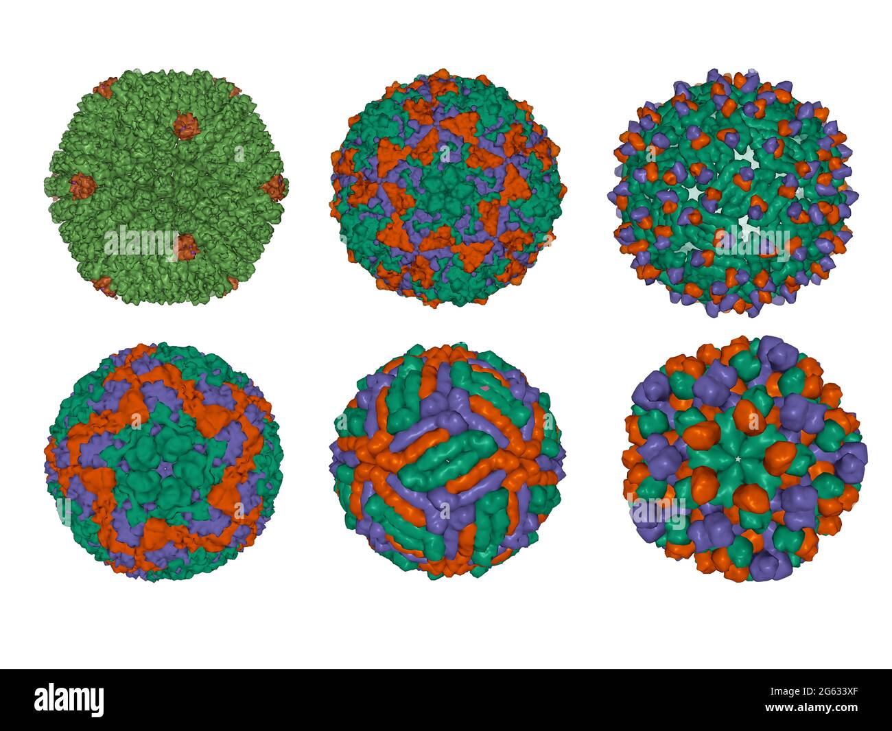 Diversität von Capsid-Proteinen Strukturanordnungen in icosaedralen Viren, 3D-Gaußschen-Modelle, weißer Hintergrund Stockfoto