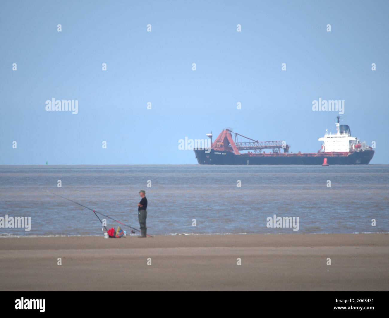 Zwei verschiedene Arten von Meeresfischen vor Crosby Beach Stockfoto