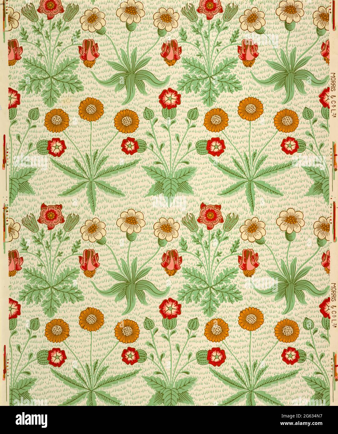 William Morris, Daisy, Tapetenmuster, 1862 Stockfoto