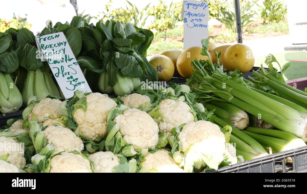 Bio-Gemüse auf der Theke, frische lokale Produkte hausgemachten rohen Gemüse auf dem Marktplatz Stand. Gesundes vegetarisches Essen, Bauernmarkt in Oceanside Ca Stockfoto