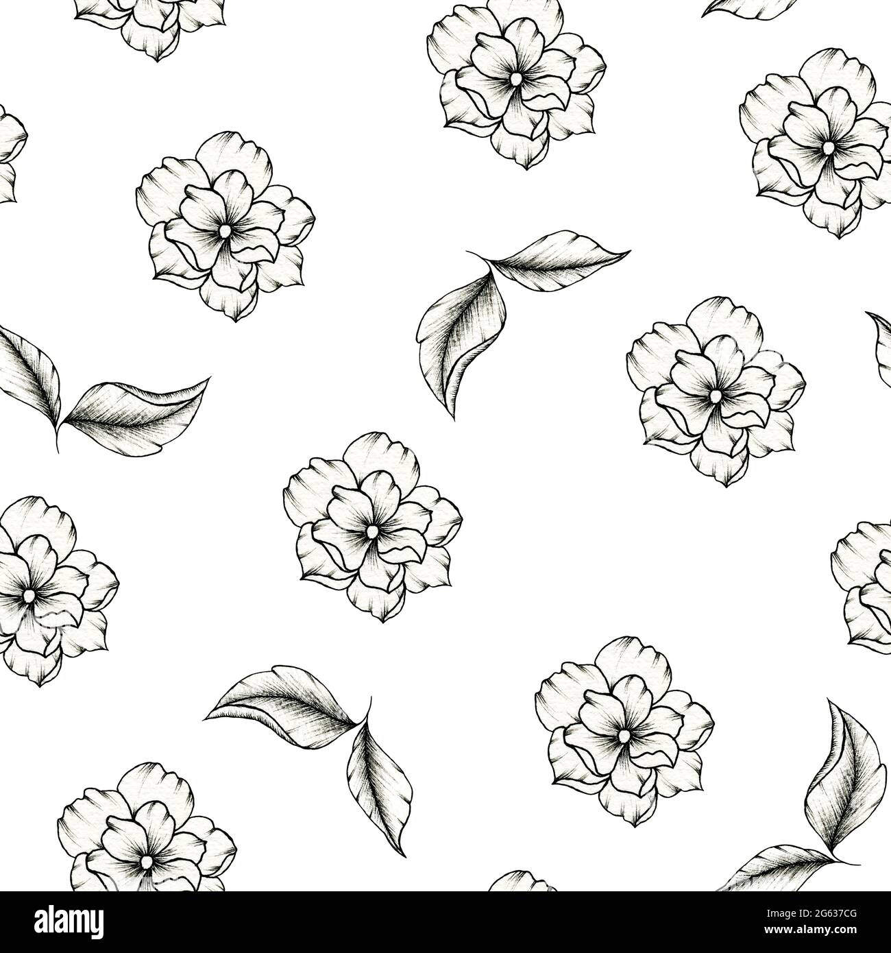 Schönes Schwarz-Weiß-Muster mit nahtlosen, von Hand gezeichneten Blumen und Blättern, isoliert auf weißem, grafischer Skizzendarstellung für die Hochzeit Stockfoto