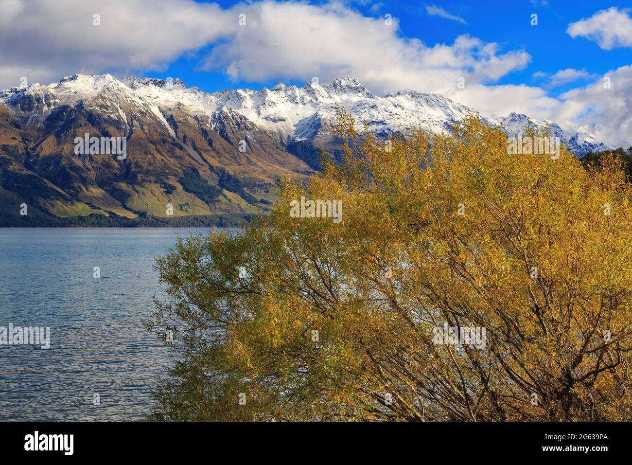 Lake Wakatipu in der Region Otago in Neuseeland, mit einem Herbstbaum und verschneiten Bergen Stockfoto