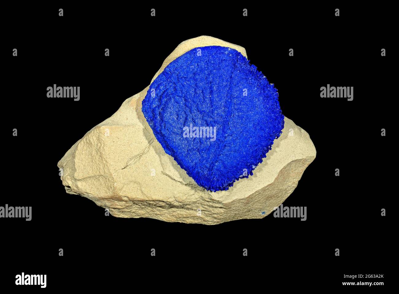 Azurit, ein tiefblaues Kupferkarbonat-Mineral, auf einem Klumpen Kaolinton. In Australien abgebaut Stockfoto