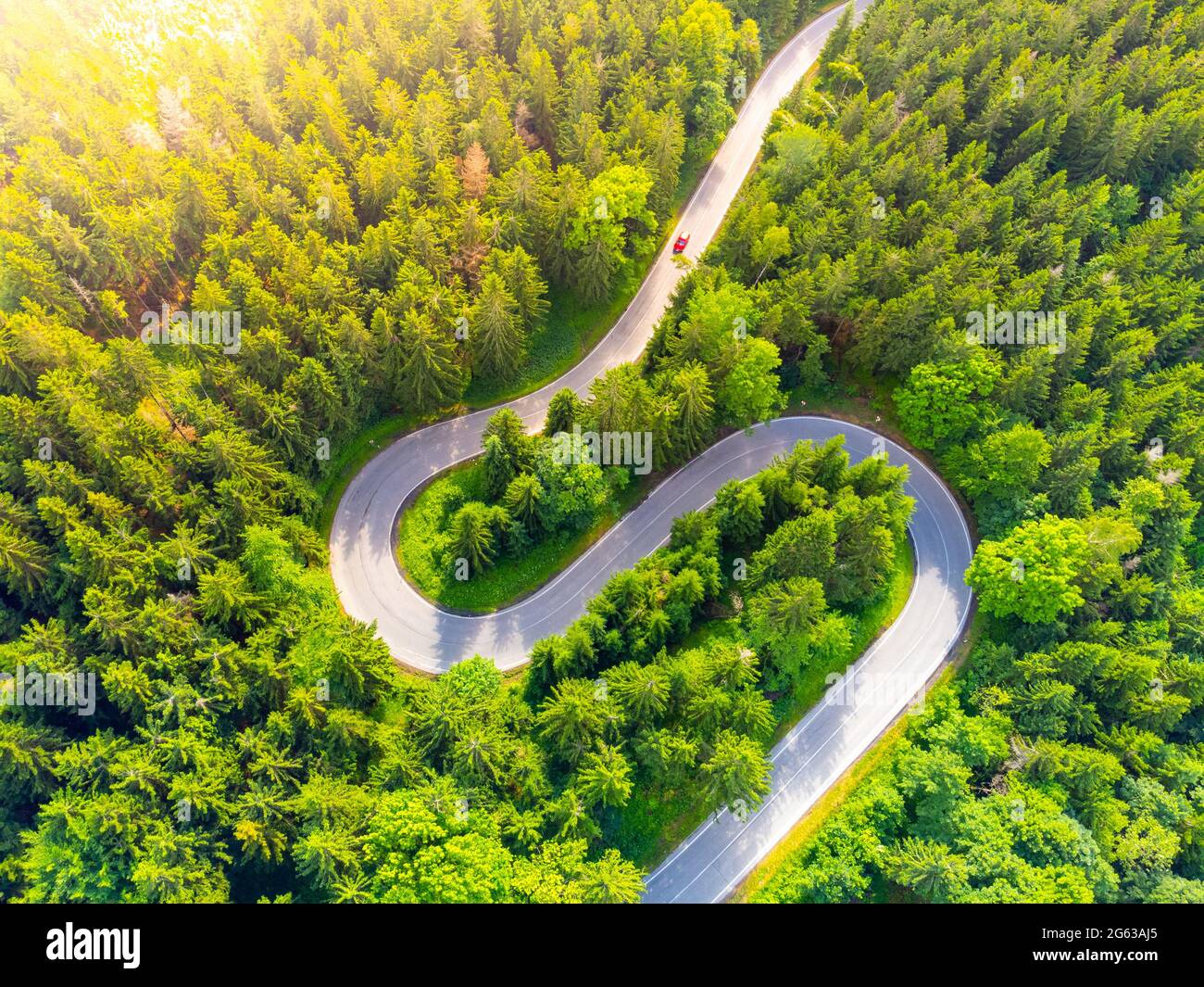 Straße Serpentin im Wald von oben Stockfoto