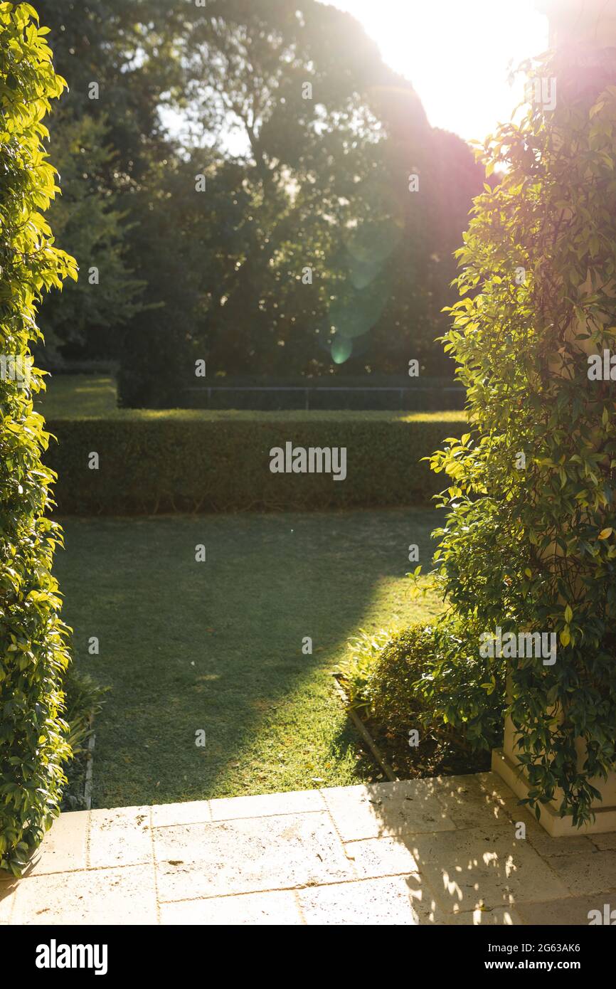 Allgemeiner Blick auf Bäume und Pflanzen in einem herrlichen Sommergarten Stockfoto