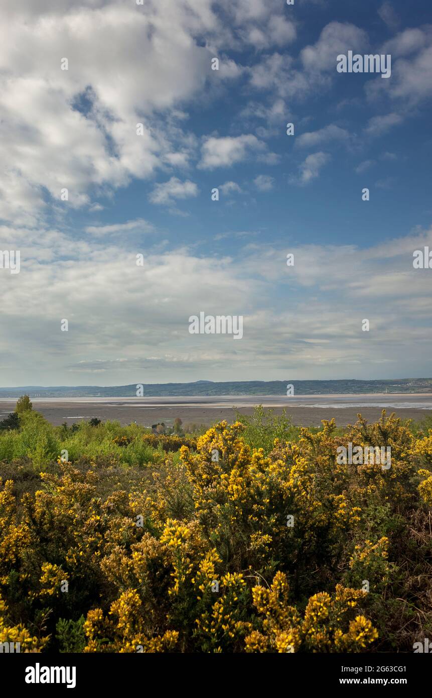 Blick auf die Dee-Mündung und die Welsh Hills vom Cleaver Heath Nature Reserve in Heswall Wirral England Stockfoto