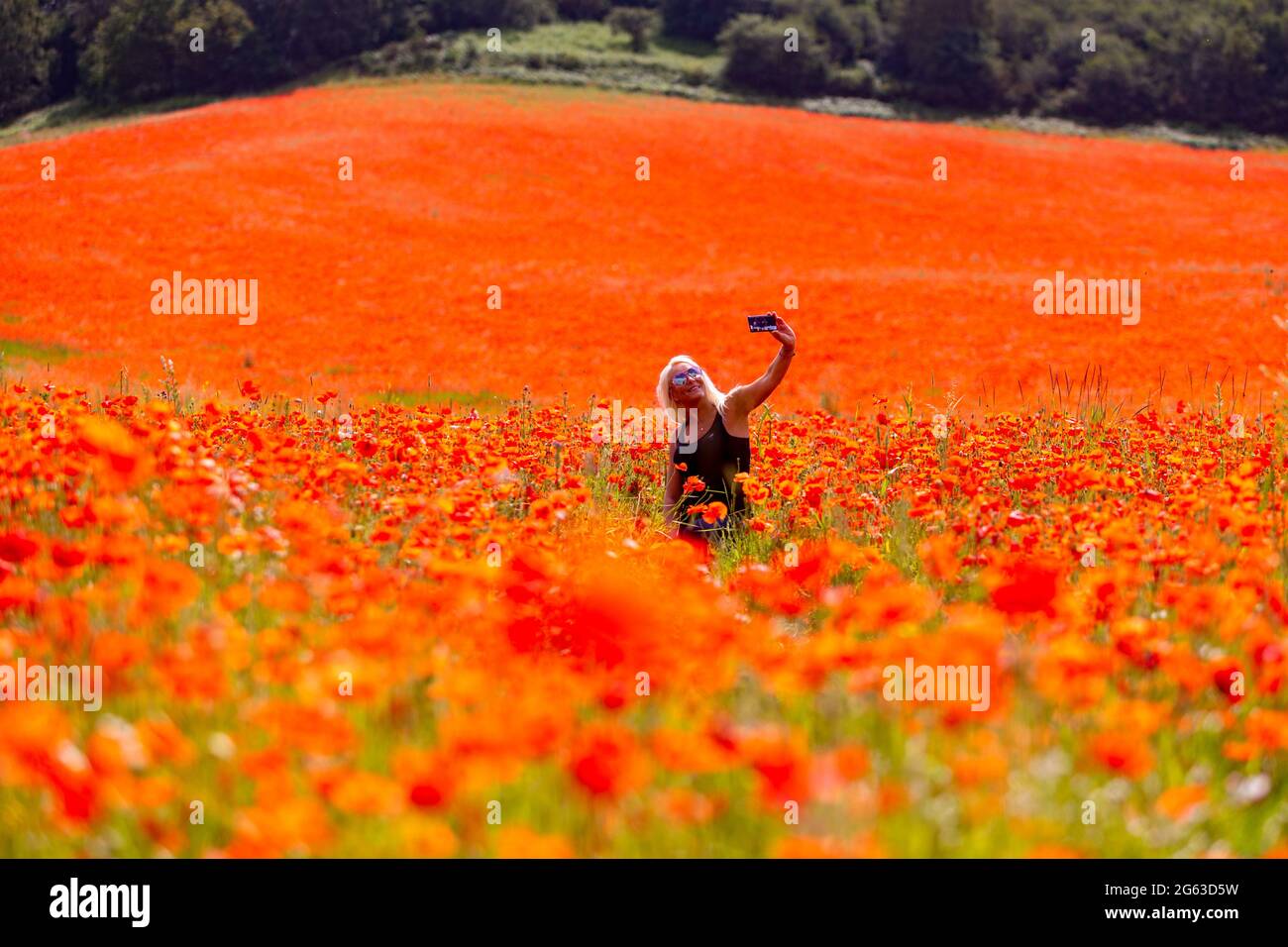 Bewdley, Worcestershire, Großbritannien. Juli 2021. Eine Frau nimmt an einem warmen und sonnigen Tag Selfies in einem herrlichen Mohnmeer auf einem Feld in der Nähe von Bewdley, Worcestershire, auf. Peter Lopeman/Alamy Live News Stockfoto