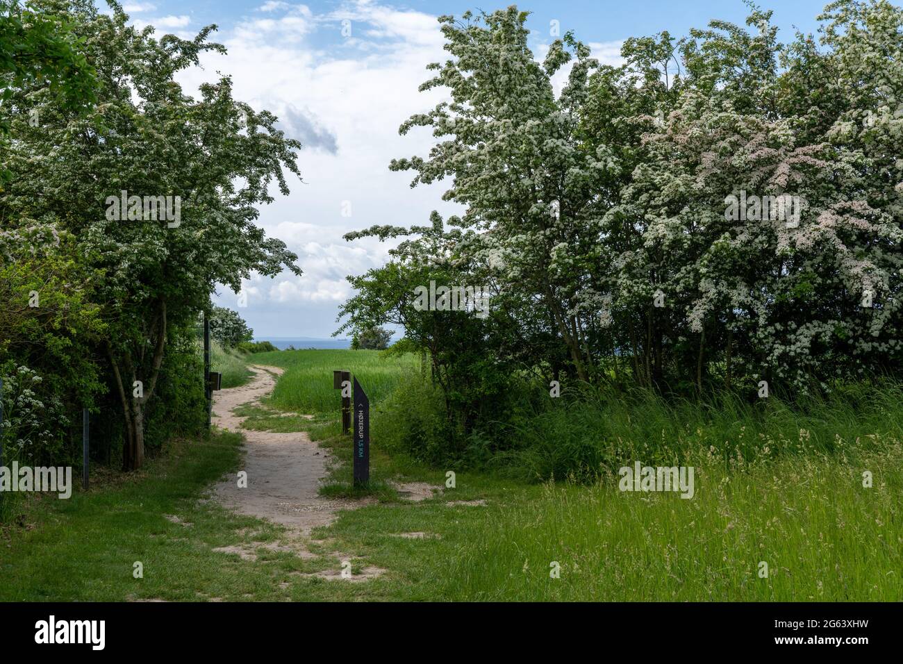 Ein Wandermarker und Wanderweg mit blühenden Bäumen auf beiden Seiten, die in der Ferne zum Meer führen Stockfoto