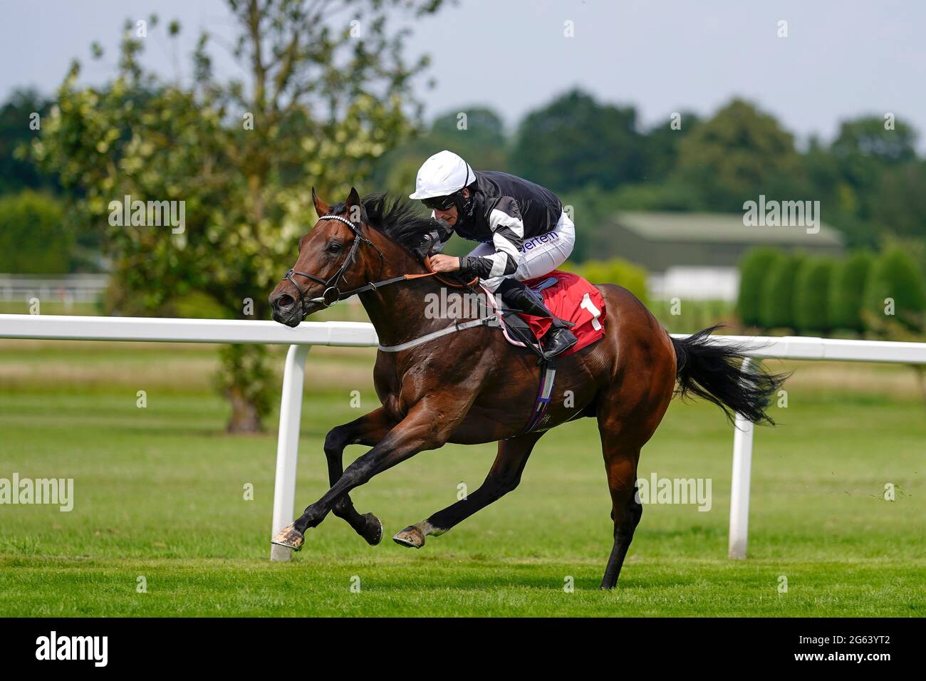 PJ McDonald, der Feraby reitet, gewinnt die Coral Dragon Stakes auf der Sandown Park Rennbahn, Esher. Stockfoto